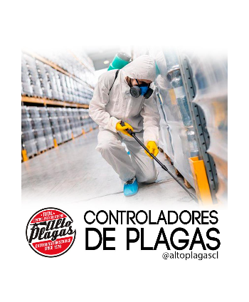 Control de Plagas