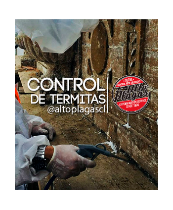 Control de Termitas